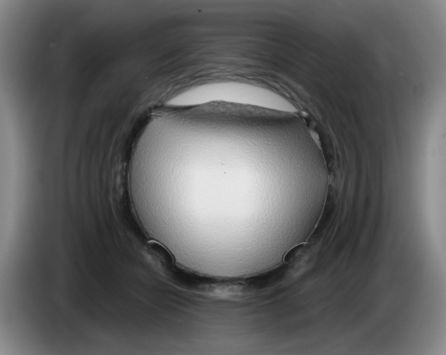 X0000083550462200703091557