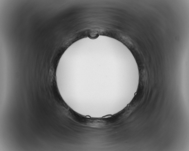 X0000083550463200703091557