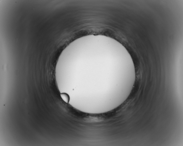 X0000083550464200703091558