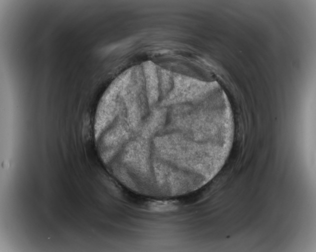 X0000083550465200703091558