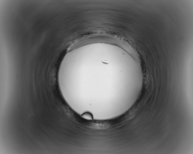 X0000083550466200703091558