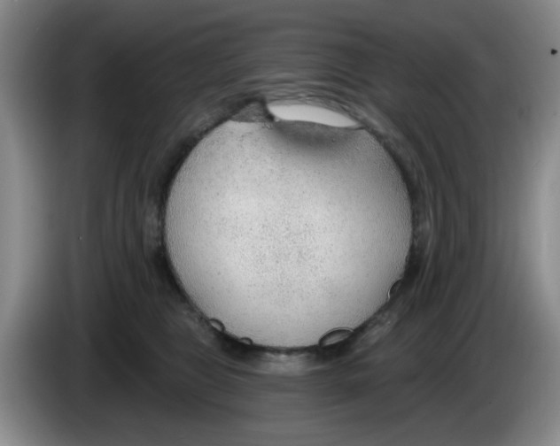 X0000083550469200703091558