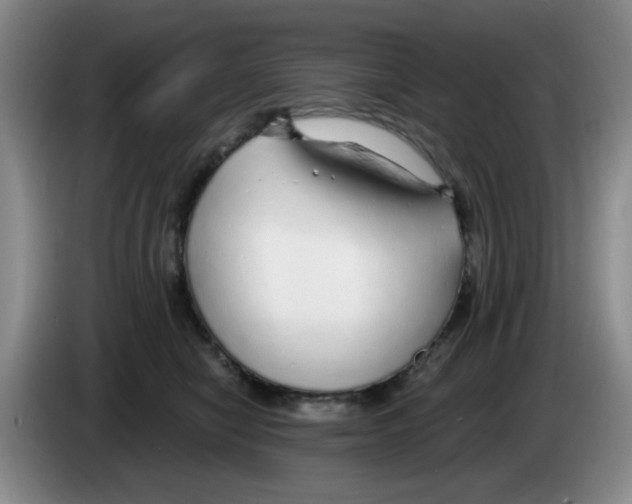 X0000083550470200703091558