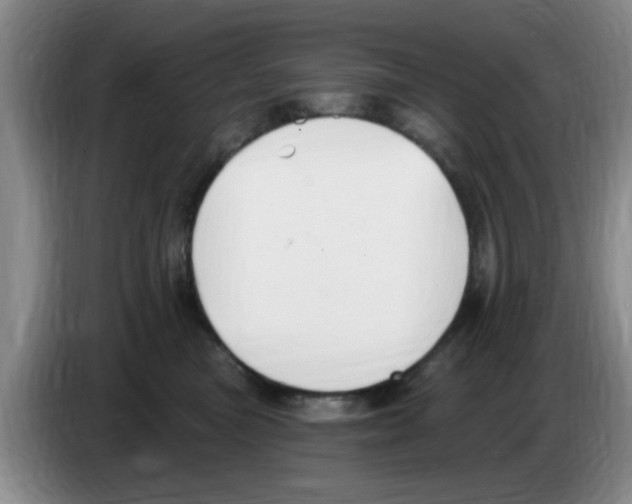 X0000083550473200703091558
