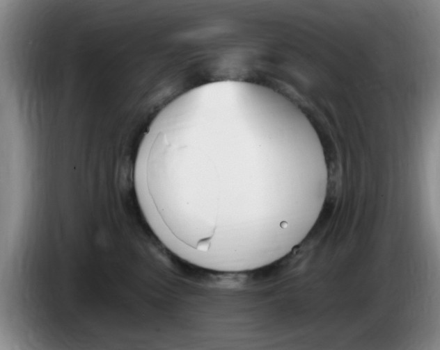 X0000083550474200703091558