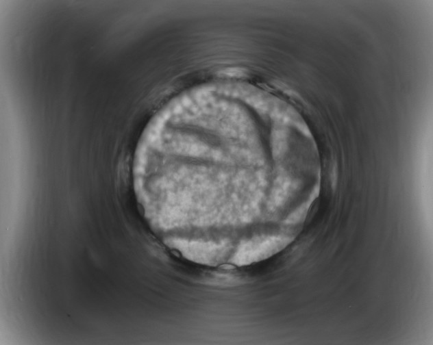 X0000083550475200703091558