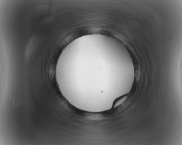 X0000083550476200703091558