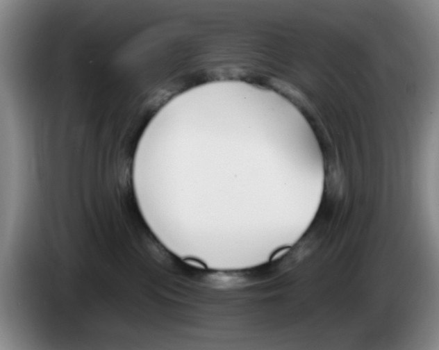 X0000083550477200703091558