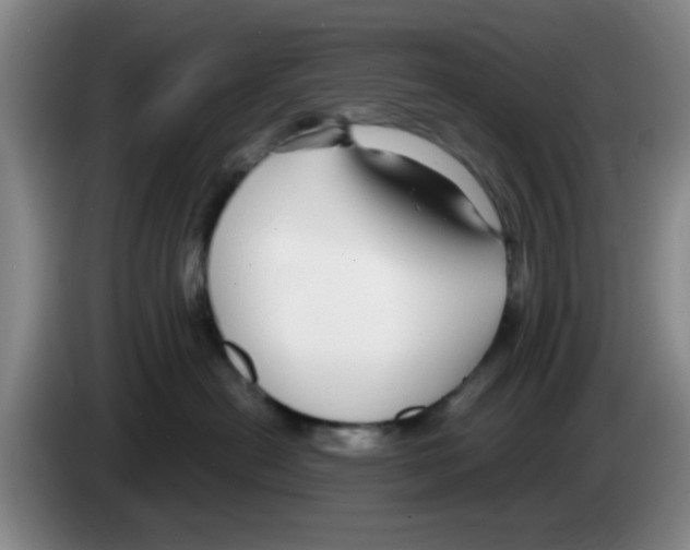 X0000083550478200703091558