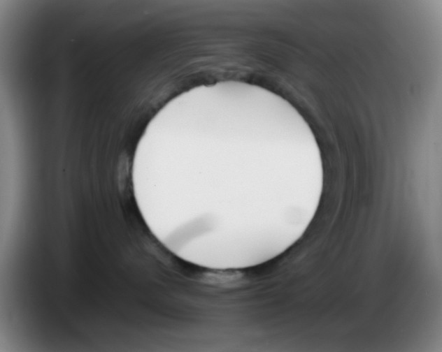 X0000083550480200703091558