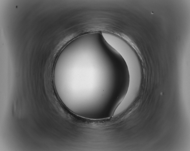 X0000083550481200703091557