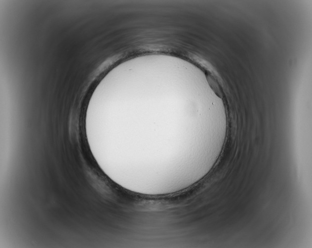 X0000083550482200703091557