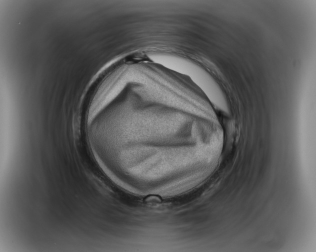 X0000083550484200703091557