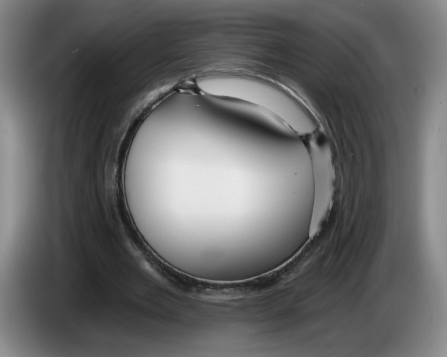 X0000083550485200703091557