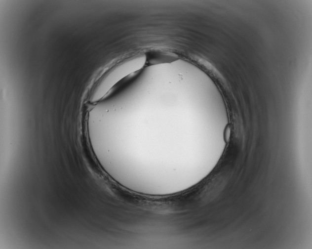 X0000083550486200703091557