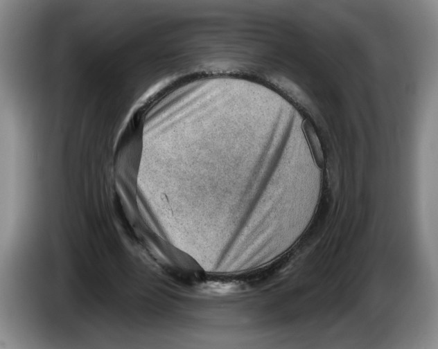 X0000083550488200703091557