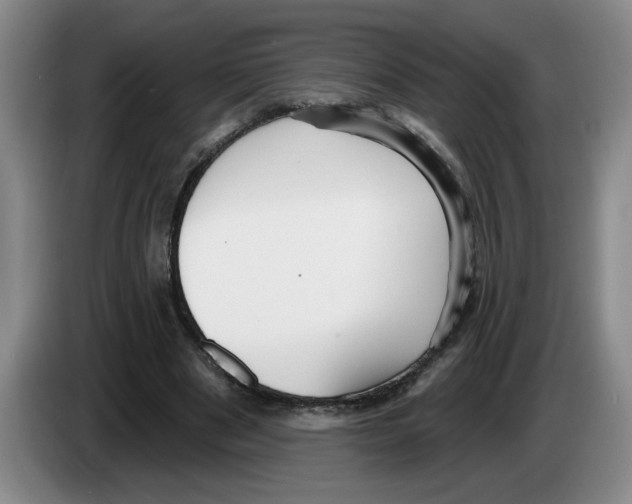 X0000083550489200703091557