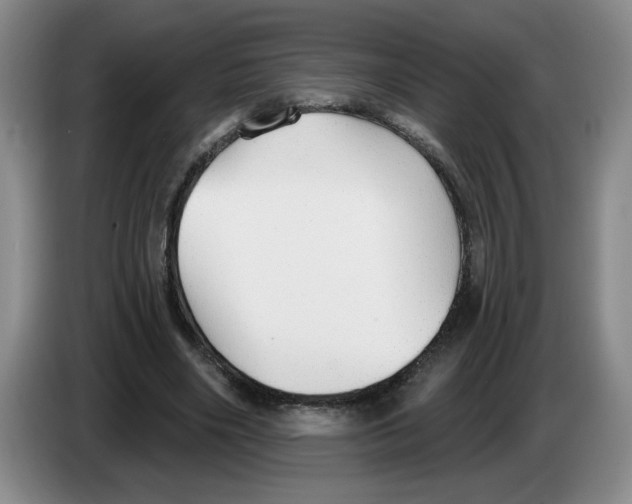 X0000083550490200703091557