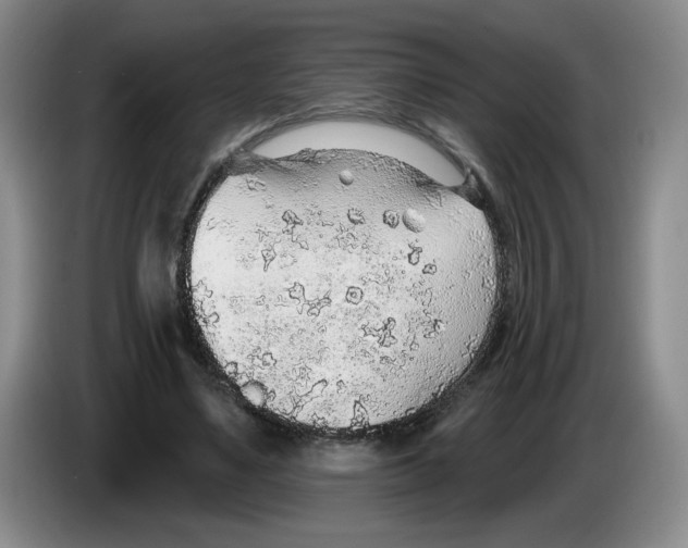 X0000083550491200703091557