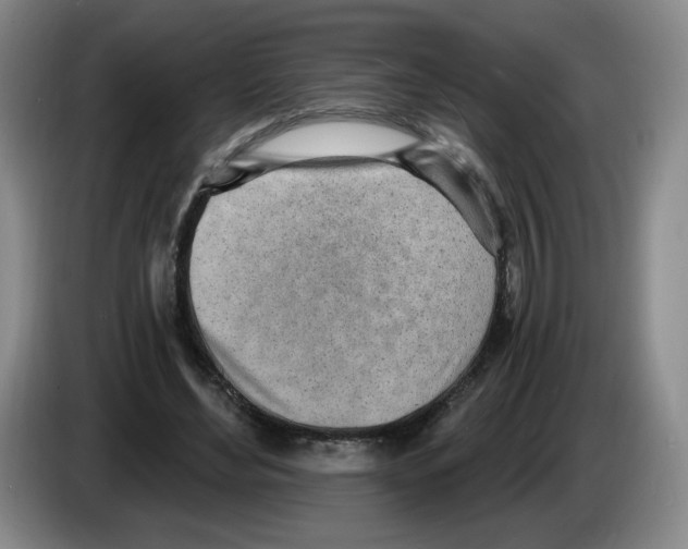 X0000083550492200703091557