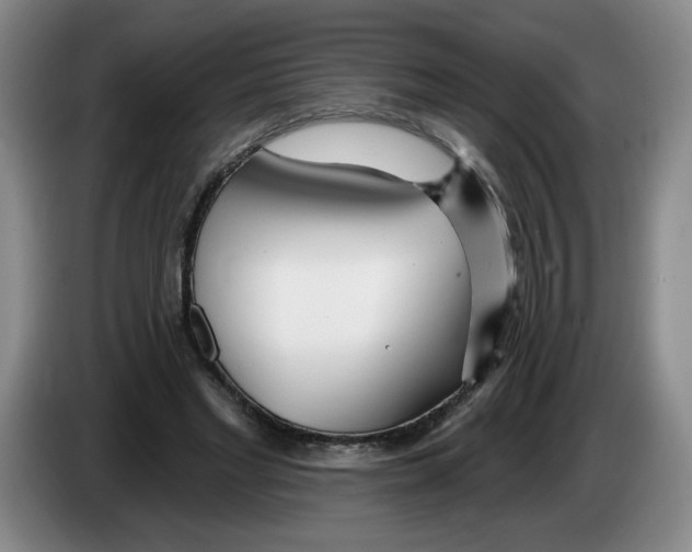 X0000083550493200703091557