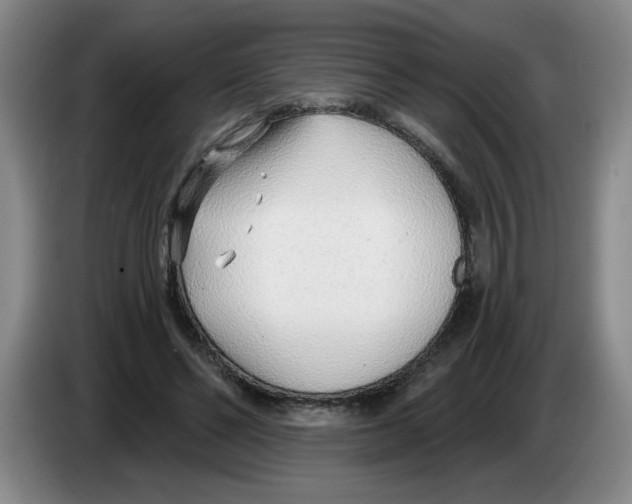 X0000083550494200703091557