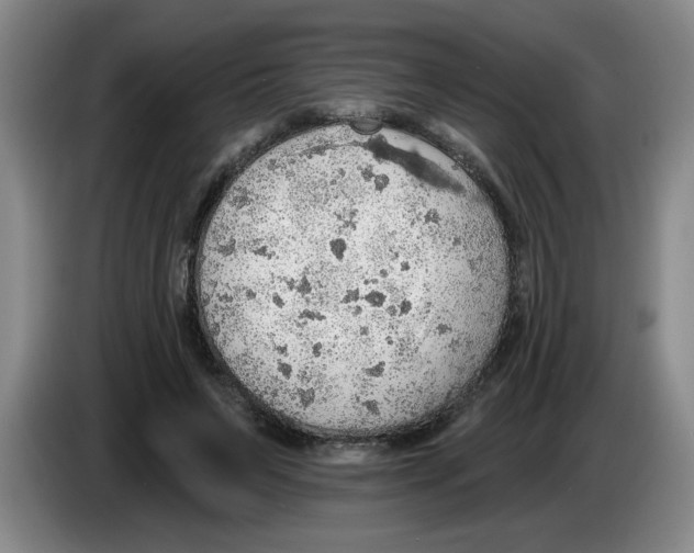 X0000083550495200703091557
