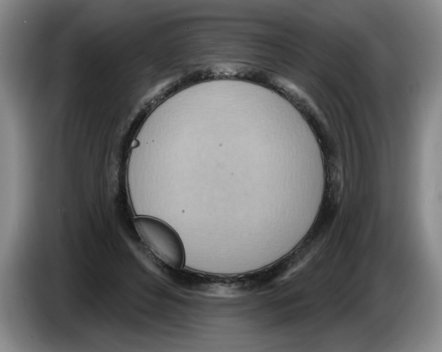 X0000083550496200703091557