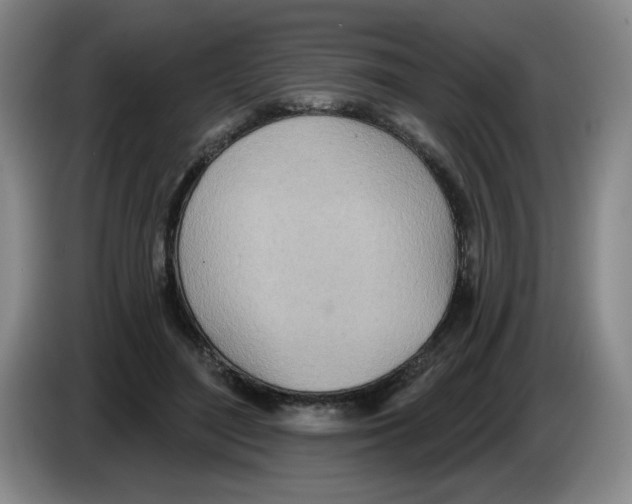 X0000083550500200703091557