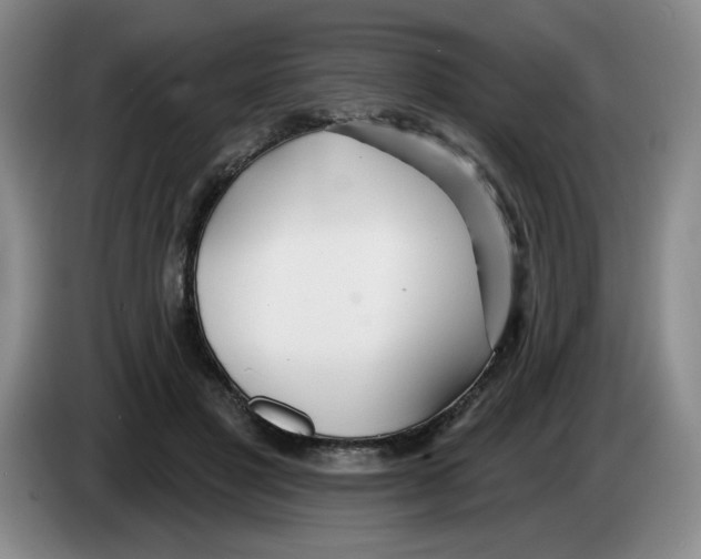 X0000083550501200703091557