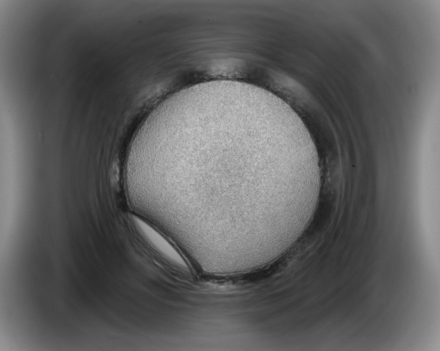 X0000083550502200703091557