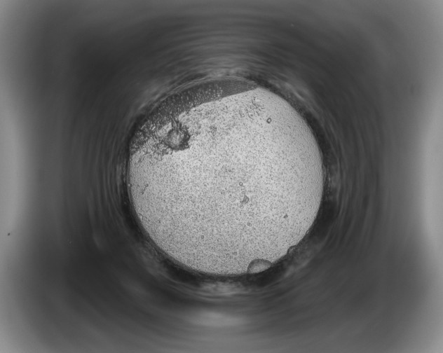 X0000083550503200703091557