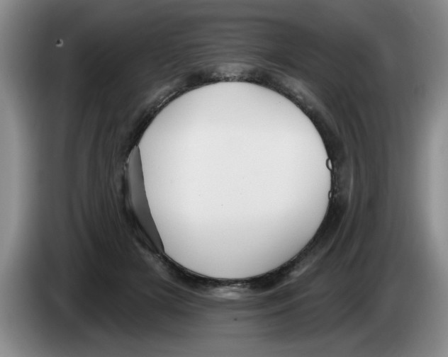 X0000083550505200703091557