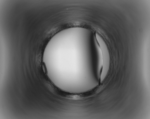 X0000083550509200703091557