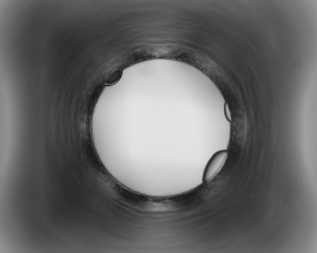 X0000083550510200703091557