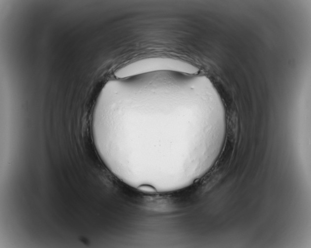 X0000083550511200703091557