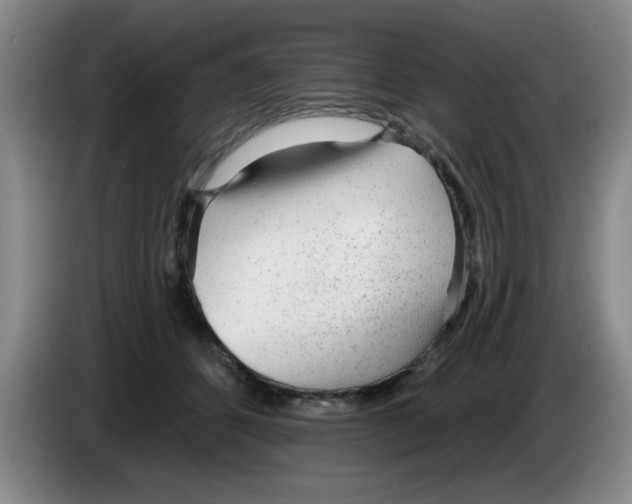 X0000083550512200703091557