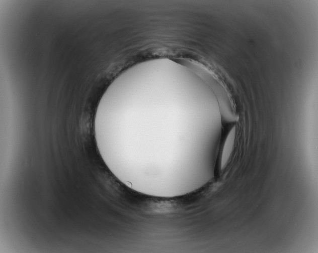 X0000083550513200703091557