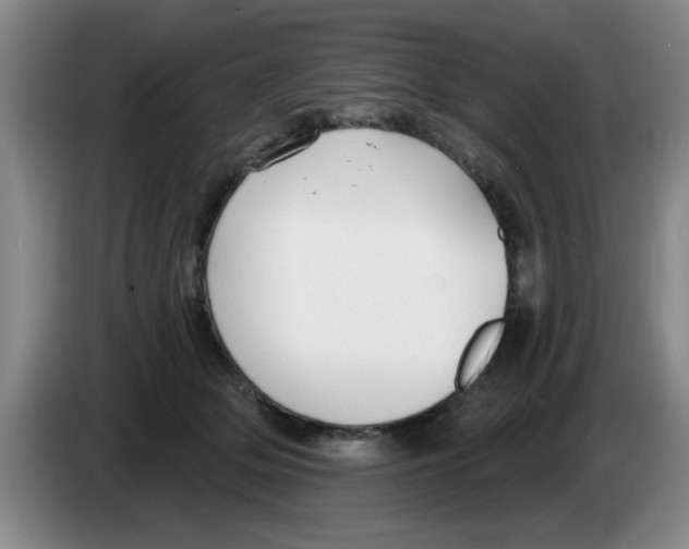 X0000083550514200703091557