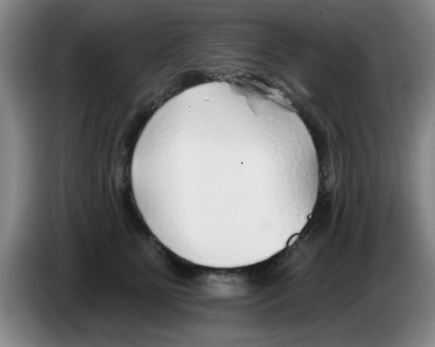 X0000083550515200703091557