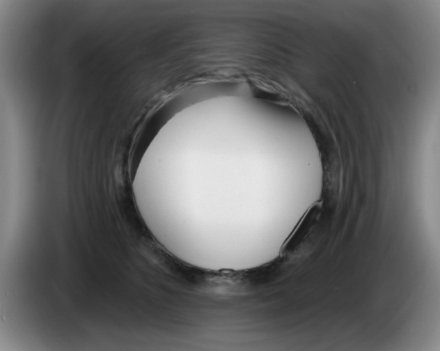 X0000083550516200703091557