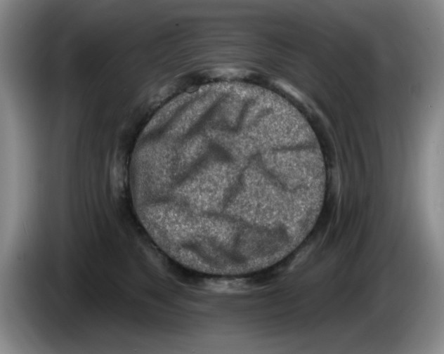 X0000083550517200703091557
