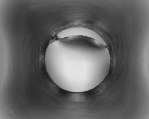X0000083550521200703091557