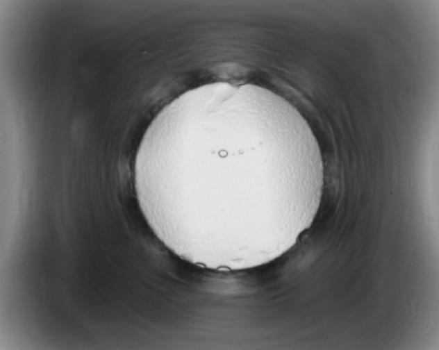 X0000083550523200703091557
