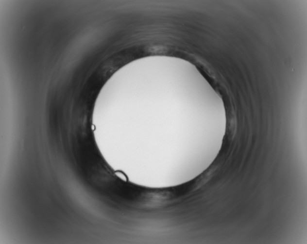 X0000083550525200703091556