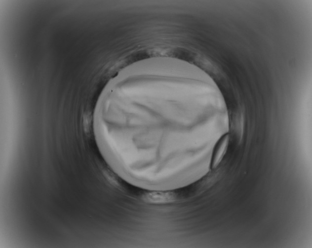 X0000083550526200703091556