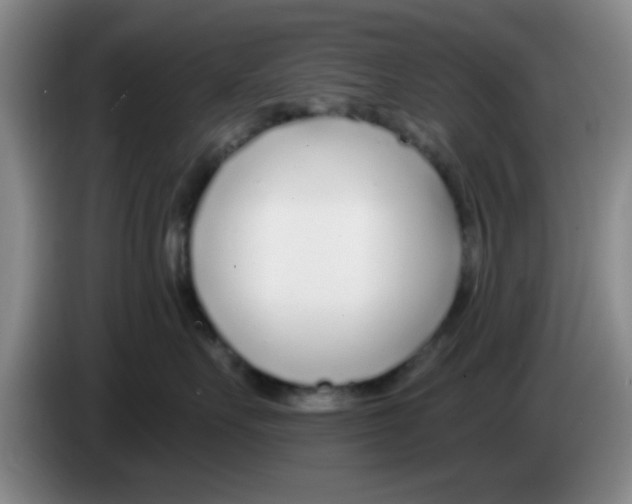 X0000083550527200703091556