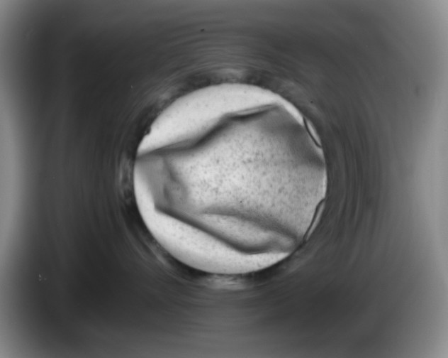 X0000083550528200703091556