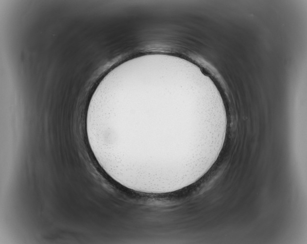 X0000083550529200703091556