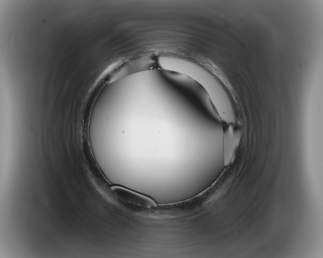 X0000083550530200703091556